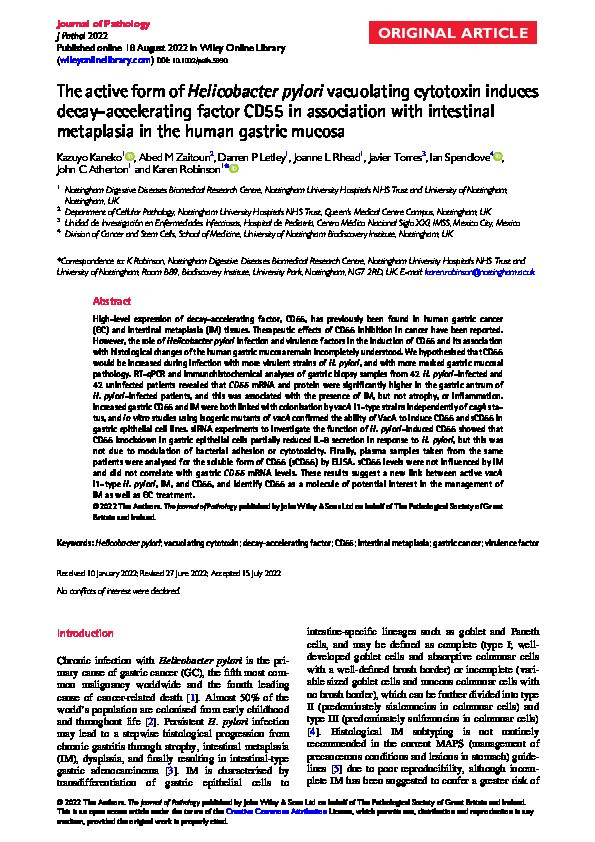 The active form of Helicobacter pylori vacuolating cytotoxin induces decay-accelerating factor CD55 in association with intestinal metaplasia in the human gastric mucosa Thumbnail