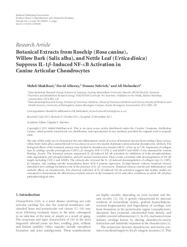 Botanical Extracts from Rosehip (Rosa canina), Willow Bark (Salix alba), and Nettle Leaf (Urtica dioica) Suppress IL-1β-Induced NF-κB Activation in Canine Articular Chondrocytes Thumbnail