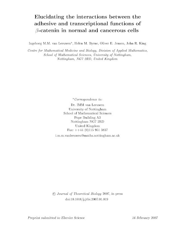 Elucidating the interactions between the adhesive and transcriptioanl functions of beta-catenin in normal and cancerous cells Thumbnail