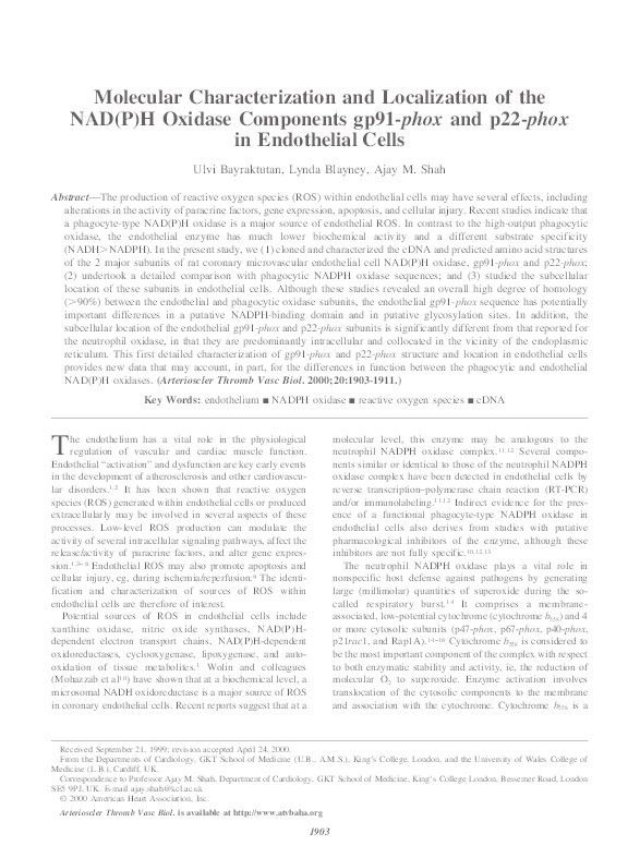 Molecular Characterization and Localization of the NAD(P)H Oxidase Components gp91-phox and p22-phox in Endothelial Cells Thumbnail