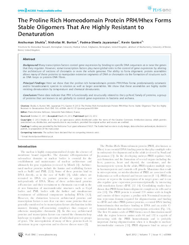 The proline rich homeodomain protein PRH/Hhex forms stable oligomers that are highly resistant to denaturation Thumbnail