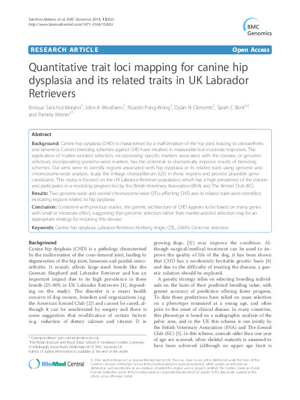 Quantitative trait loci mapping for canine hip dysplasia and its related traits in UK Labrador Retriever Thumbnail