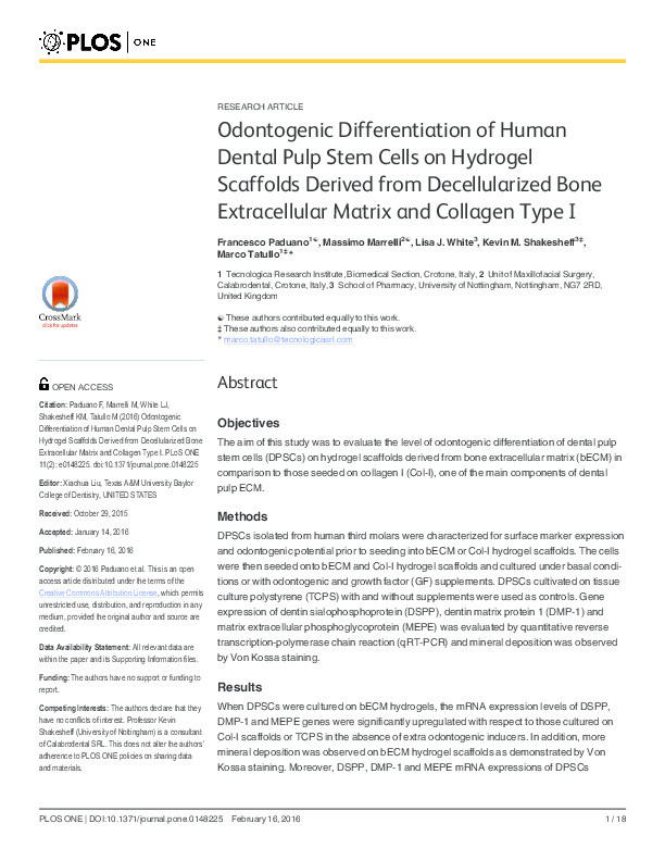 Odontogenic differentiation of human dental pulp stem cells on hydrogel scaffolds derived from decellularized bone extracellular matrix and collagen type I Thumbnail