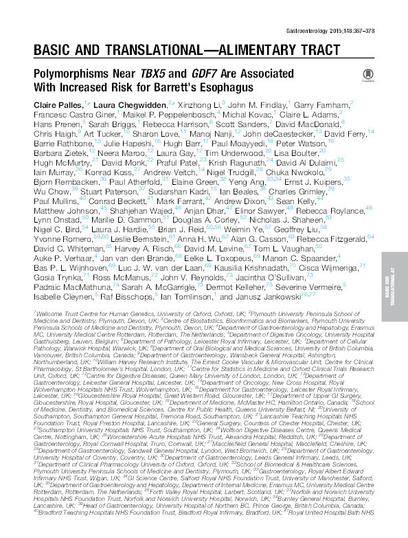 Polymorphisms Near TBX5 and GDF7 Are Associated With Increased Risk for Barrett’s Esophagus Thumbnail