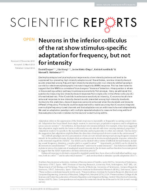 Neurons in the inferior colliculus of the rat show stimulus-specific adaptation for frequency, but not for intensity Thumbnail