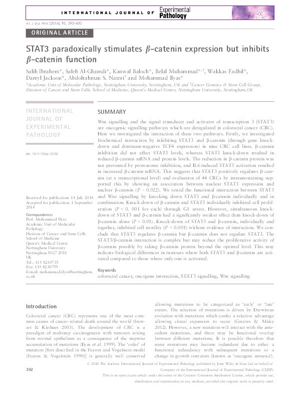 STAT3 paradoxically stimulates ??catenin expression but inhibits ??catenin function Thumbnail