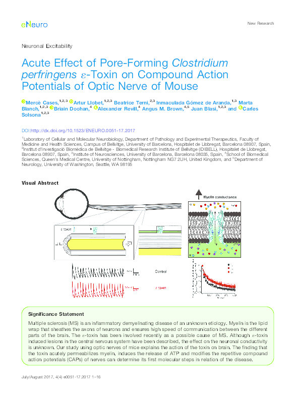 Acute effect of pore-forming Clostridium perfringens ?-toxin on compound action potentials of optic nerve of mouse Thumbnail