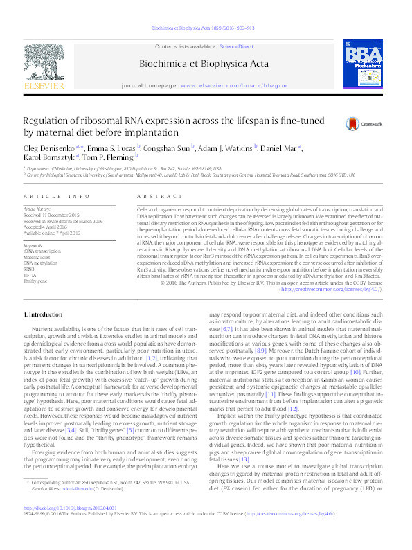 Regulation of ribosomal RNA expression across the lifespan is fine-tuned by maternal diet before implantation Thumbnail