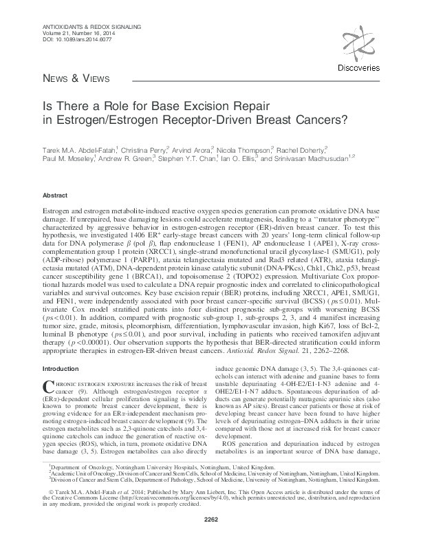 Is there a role for base excision repair in estrogen/estrogen receptor-driven breast cancers? Thumbnail