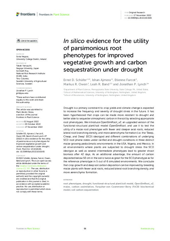 In silico evidence for the utility of parsimonious root phenotypes for improved vegetative growth and carbon sequestration under drought Thumbnail