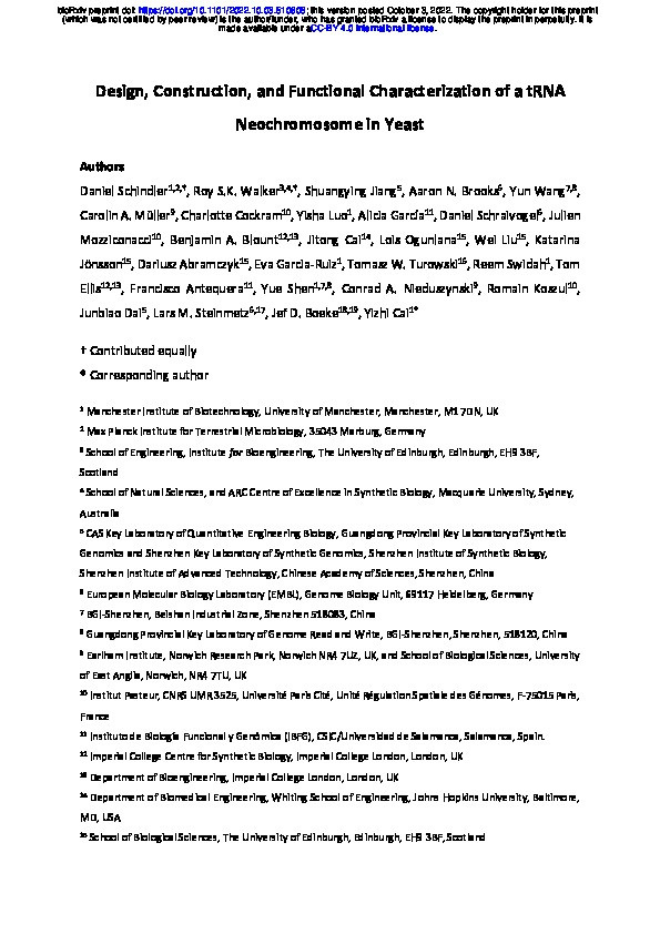 Design, Construction, and Functional Characterization of a tRNA Neochromosome in Yeast Thumbnail