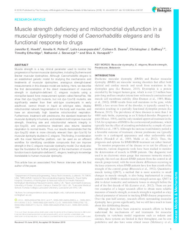 Muscle strength deficiency and mitochondrial dysfunction in a muscular dystrophy model of C. elegans and its functional response to drugs Thumbnail