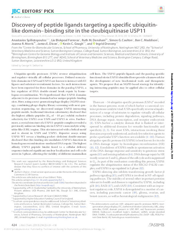 Discovery of peptide ligands targeting a specific ubiquitin-like domain– binding site in the deubiquitinase USP11 Thumbnail