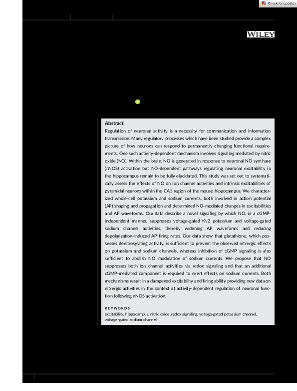 Nitrergic modulation of neuronal excitability in the mouse hippocampus is mediated via regulation of Kv2 and voltage‐gated sodium channels Thumbnail