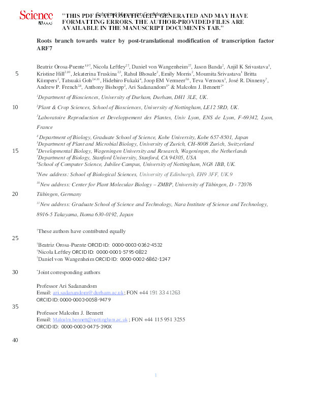 Roots branch towards water by post-translational modification of transcription factor ARF7 Thumbnail