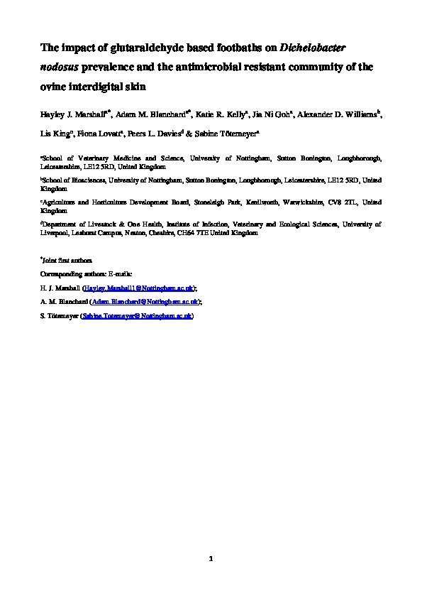 The impact of glutaraldehyde based footbaths on Dichelobacter nodosus prevalence and the antimicrobial resistant community of the ovine interdigital skin Thumbnail