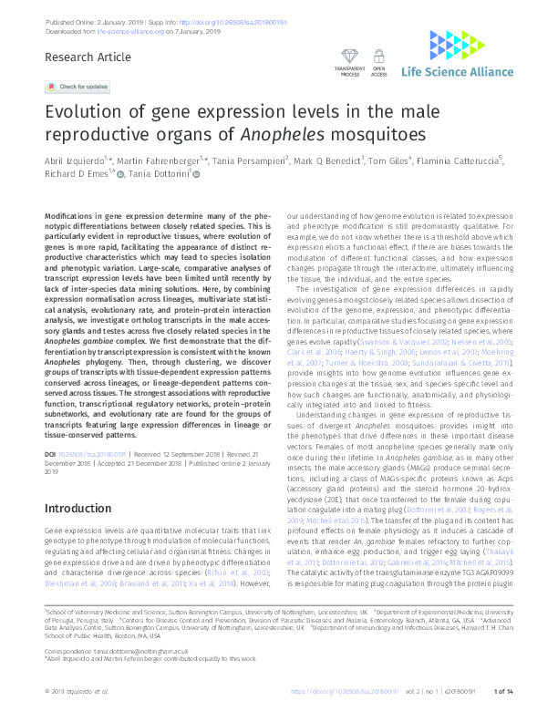 Evolution of gene expression levels in the male reproductive organs of Anopheles mosquitoes Thumbnail