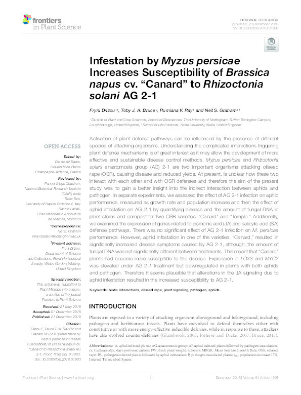 Infestation by Myzus persicae increases susceptibility of Brassica napus cv. “Canard” to Rhizoctonia solani AG 2-1 Thumbnail