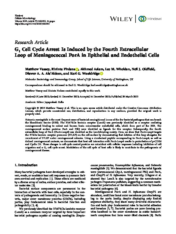 G1 Cell Cycle Arrest Is Induced by the Fourth Extracellular Loop of Meningococcal PorA in Epithelial and Endothelial Cells Thumbnail