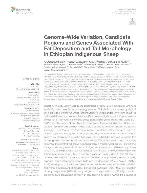 Genome-Wide Variation, Candidate Regions and Genes Associated With Fat Deposition and Tail Morphology in Ethiopian Indigenous Sheep Thumbnail