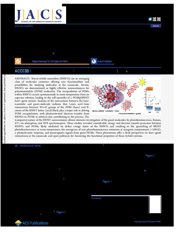 Host–Guest Chemistry in Boron Nitride Nanotubes: Interactions with Polyoxometalates and Mechanism of Encapsulation Thumbnail