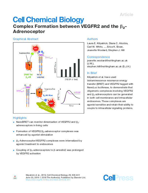 Complex formation between VEGFR2 and the β2-adrenoceptor Thumbnail