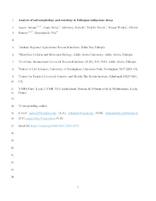 Analysis of tail morphology and osteology in Ethiopian indigenous sheep Thumbnail