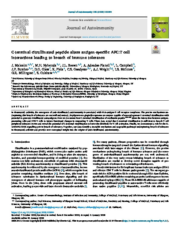 C-terminal citrullinated peptide alters antigen-specific APC:T cell interactions leading to breach of immune tolerance Thumbnail