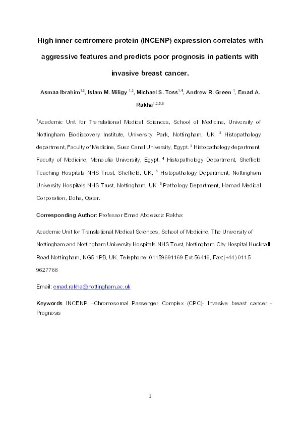 High Inner Centromere Protein Expression Correlates with Aggressive Features and Predicts Poor Prognosis in Patients with Invasive Breast Cancer Thumbnail