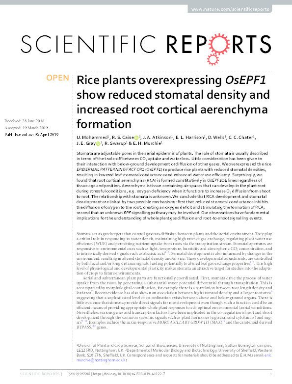 Rice plants overexpressing OsEPF1 show reduced stomatal density and increased root cortical aerenchyma formation Thumbnail