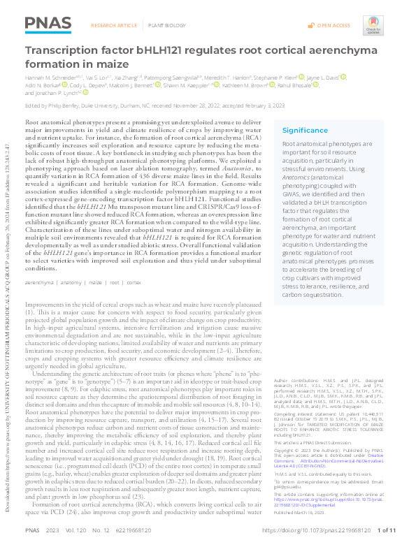 Transcription factor bHLH121 regulates root cortical aerenchyma formation in maize Thumbnail