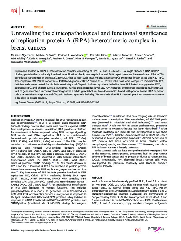 Unravelling the clinicopathological and functional significance of replication protein A (RPA) heterotrimeric complex in breast cancers Thumbnail