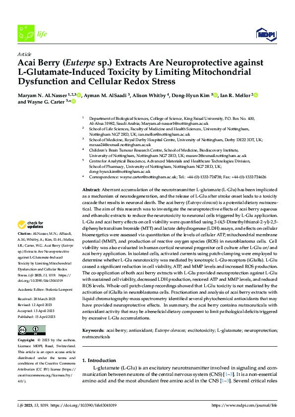 Acai Berry (Euterpe sp.) Extracts Are Neuroprotective against L-Glutamate-Induced Toxicity by Limiting Mitochondrial Dysfunction and Cellular Redox Stress Thumbnail