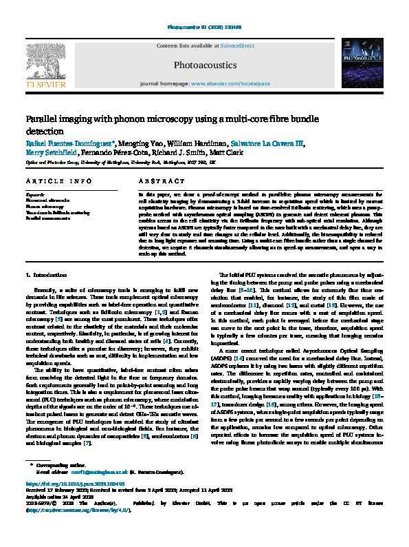 Parallel imaging with phonon microscopy using a multi-core fibre bundle detection Thumbnail