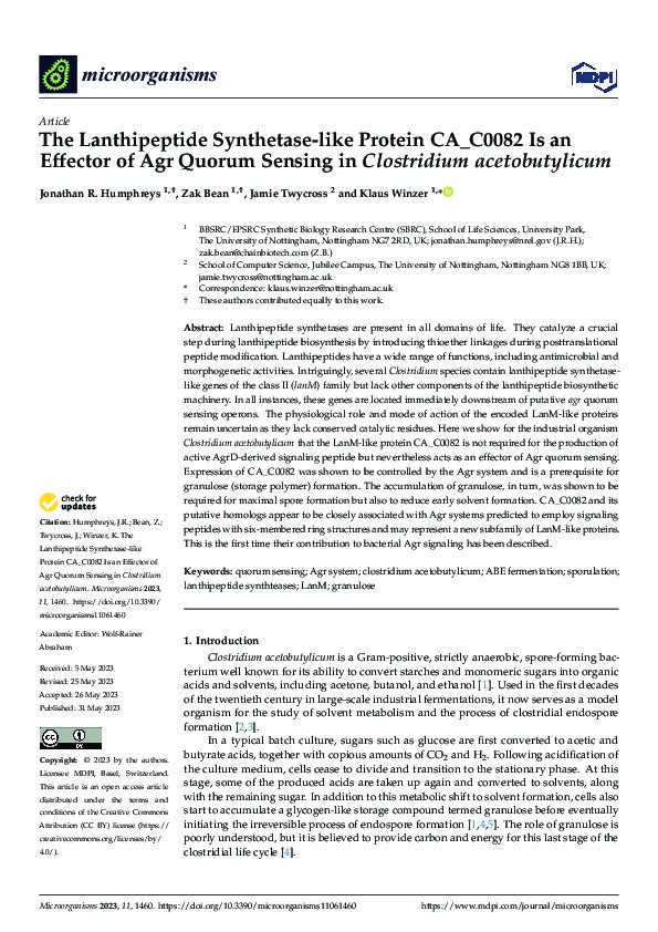 The Lanthipeptide Synthetase-like Protein CA_C0082 Is an Effector of Agr Quorum Sensing in Clostridium acetobutylicum Thumbnail