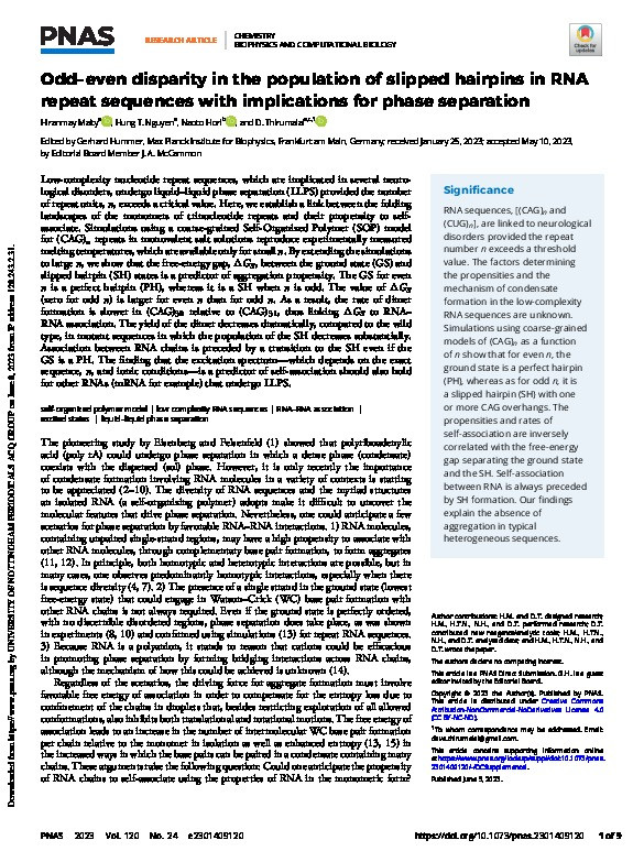 Odd–even disparity in the population of slipped hairpins in RNA repeat sequences with implications for phase separation Thumbnail