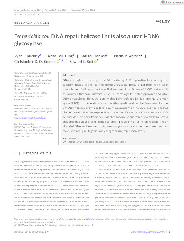 Escherichia coli DNA repair helicase Lhr is also a uracil-DNA glycosylase Thumbnail