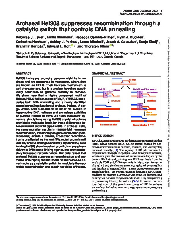 Archaeal Hel308 suppresses recombination through a catalytic switch that controls DNA annealing Thumbnail