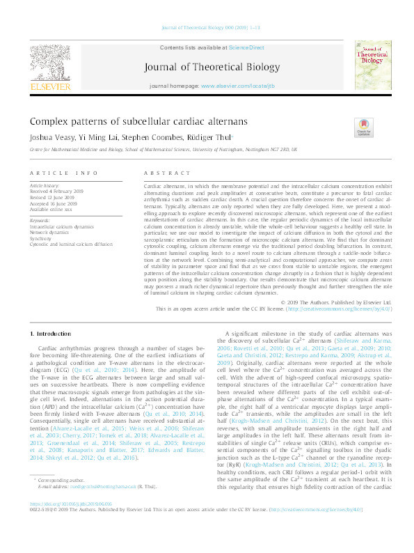 Complex patterns of subcellular cardiac alternans Thumbnail