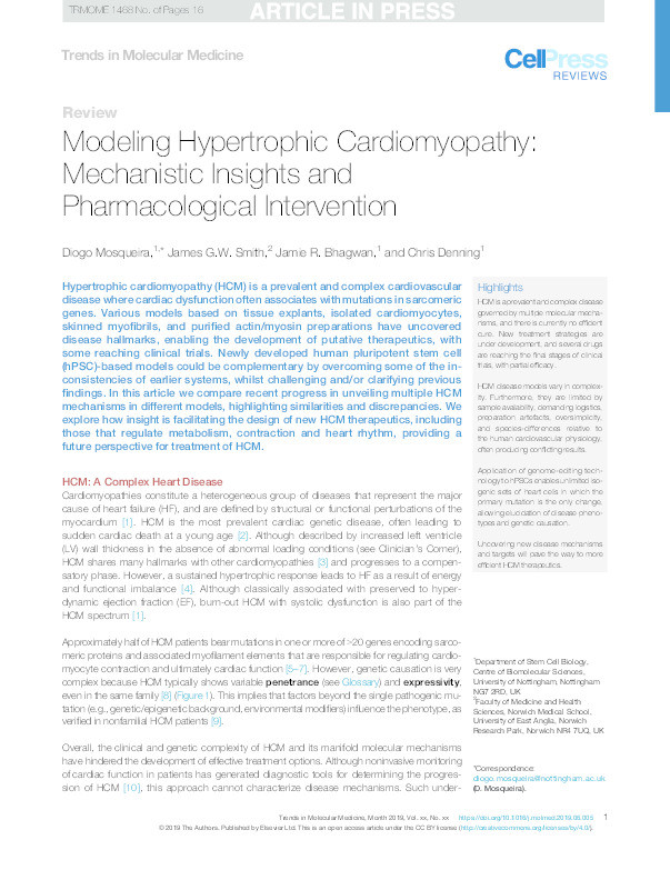 Modeling Hypertrophic Cardiomyopathy: Mechanistic Insights and Pharmacological Intervention Thumbnail