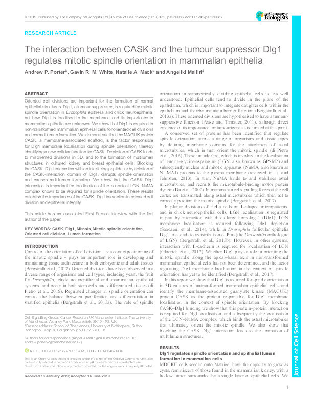 The interaction between CASK and the tumour suppressor Dlg1 regulates mitotic spindle orientation in mammalian epithelia Thumbnail