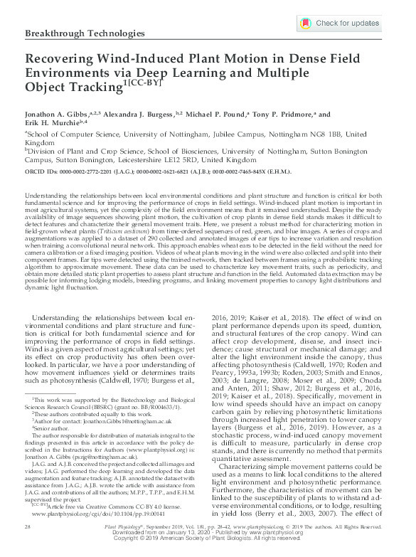 Recovering Wind-induced Plant motion in Dense Field Environments via Deep Learning and Multiple Object Tracking Thumbnail