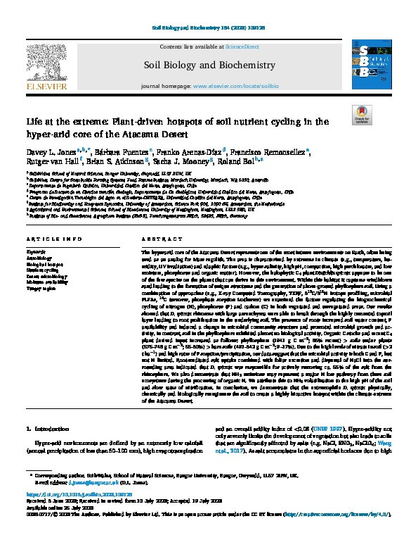 Life at the extreme: Plant-driven hotspots of soil nutrient cycling in the hyper-arid core of the Atacama Desert Thumbnail