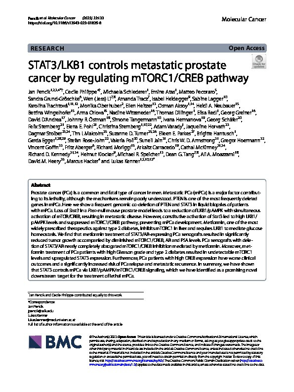 STAT3/LKB1 controls metastatic prostate cancer by regulating mTORC1/CREB pathway Thumbnail