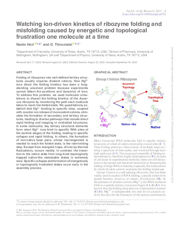 Watching ion-driven kinetics of ribozyme folding and misfolding caused by energetic and topological frustration one molecule at a time Thumbnail