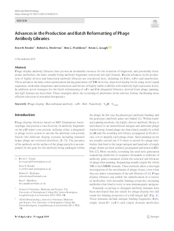 Advances in the Production and Batch Reformatting of Phage Antibody Libraries Thumbnail
