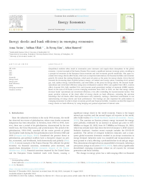 Energy shocks and bank efficiency in emerging economies Thumbnail