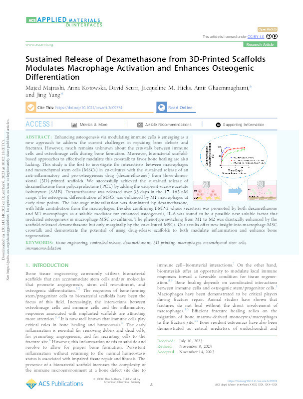 Sustained Release of Dexamethasone from 3D-Printed Scaffolds Modulates Macrophage Activation and Enhances Osteogenic Differentiation Thumbnail