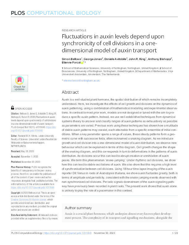 Fluctuations in auxin levels depend upon synchronicity of cell divisions in a one-dimensional model of auxin transport Thumbnail