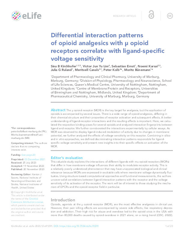 Differential interaction patterns of opioid analgesics with µ opioid receptors correlate with ligand-specific voltage sensitivity Thumbnail